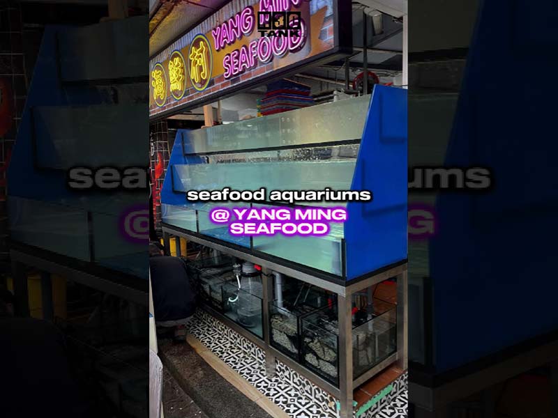 Seafood Tank custom made for Yang Ming seafood restaurant in Singapore.