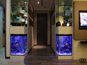 Side Wall Tanks - Pillar Aquarium with glass cabinet on top. Custom-made by N30 Tank.