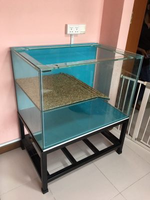 Terrarium-001 N30 Tank - Custom turtle tank 3ft x 2ft x 2ft with platform