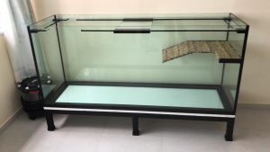 Terrarium-003: N30 Turtle Tank 6ft (L) x 2ft (W) x 32" (H) on low profile Heavy Duty Mild Steel Stand (galvanised material) with FX6 Canister Filter.