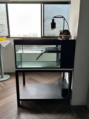 Terrarium-010: A Turtle Tank with ramp and platform, custom made by N30 Tank.