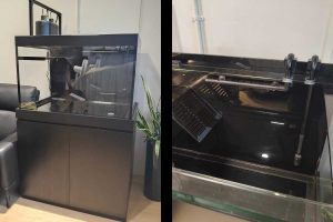 Terrarium-017: Turtle Tank custom made by N30 Tank