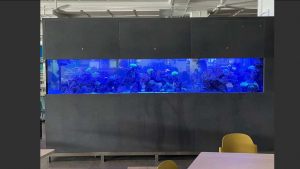 Unique-023: A large marine aquarium set up and maintained by N30 Tank.