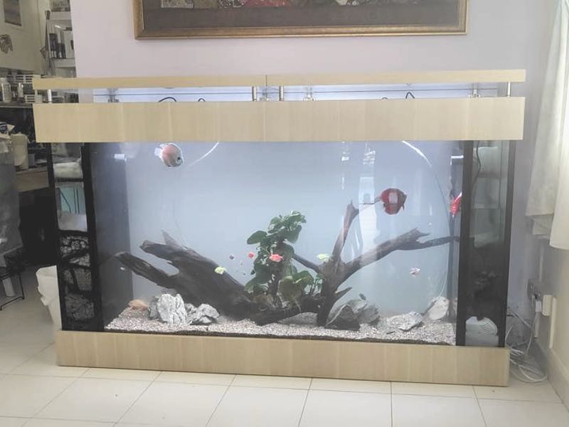 Unique Aquariums ADAstyle Aquarium N30 Tank