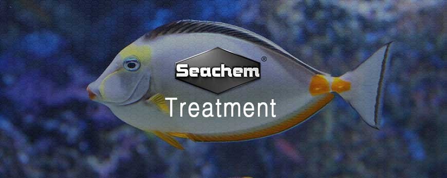 Fish Disease Treatment