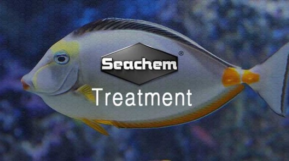 Fish Disease Treatment