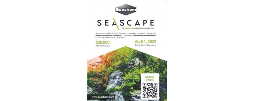 Seachem Aquascape Competition