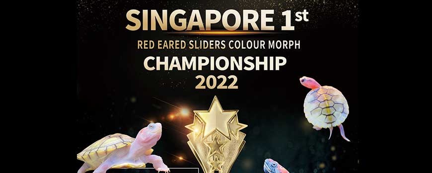 Singapore 1st Red Eared Sliders Colour Morph Championship 2022