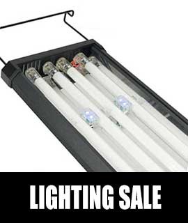 Lighting Sale