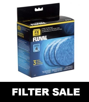 Filter Sale